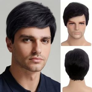 NO4 PANDA Slanted Side Bangs Synthetic Cosplay Wigs for Men Natural Fluffy Short Black Hair Full Head Realistic Male Straight Wigs Young Men