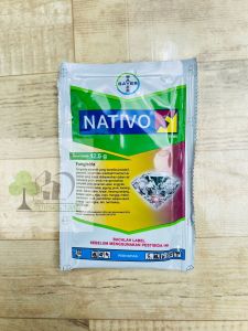 Fungisida sistemik NATIVO 75WG dari bayer MANTAP