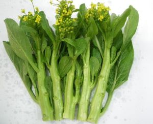 Hạt Giống Cải Ngọt Bông Ăn Bông (Cải Ngồng) dễ trồng cho năng suất cao