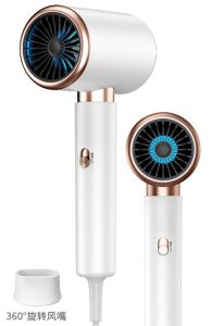 2400W Ionic Hair Dryer with 3D Blu-Ray Negative Ion Technology Lightweight Brushless Motor Fast Drying & Heat Protection
