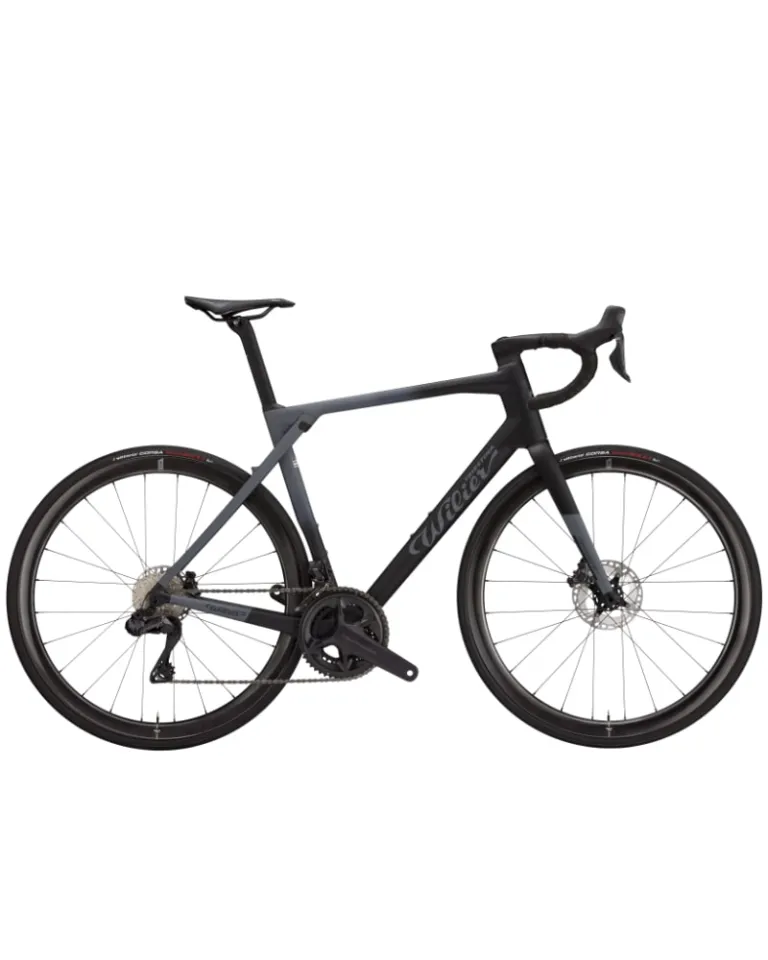 Wilier Granturismo SLR Disc Brake Frameset ONLY Road Bike (Size XS