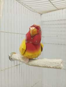 เนียน ดูเป็นธรรมชาติ เรียบง่าย สไตล์มินิมอล คอนลับเล็บ ทรงกิ่งไม้ ยาว 15 ซม. เพียง 31 บาท คอนลับเล็บนก สีขาว สไตล์มินิมอล  คล้ายไม้จริงมาก   คอนลับเล็บนก รูปทรงกิ่งไม้ กิ่งตรง ไม่มีกิ่งก้านแยก ไม่ใช่ทรงไม้ง่่าม ไม่ใช่ทรงตัวY   เรียบง่าย กลมกลืมกับกรงนก ไม