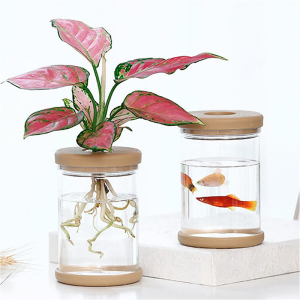 Creative Hydroponic Vase Green Flowers Water Plant Pot Transparent Plastic Cork Bottle Tabletop Cylinder Plastic Utensil