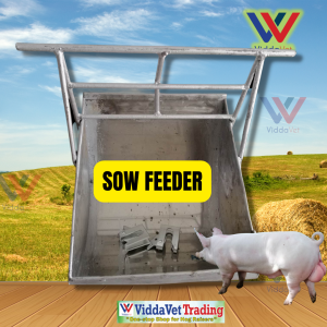 Stainless Pig Sow Feeder 1 pc with free 2 pcs galvanize door lock and accesories Stainless sow feeder Sow feeder stainless for pig sow feeder Feeder for pig auto feeder for pig stainless pig feeder sow feeder for pig sow pig feeder farrowing sow feeder