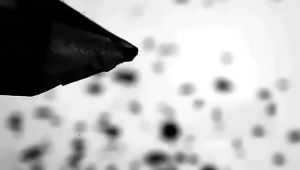 Headphones suitable for Huawei Xiaomi OPPO in-Ear type-c Android gaming phone wired direct plug type