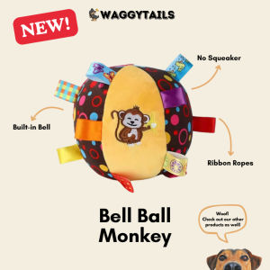 [SG] Pet Squeaky Toy    Plush Rope Dog Toy    Tug Chew Fetch