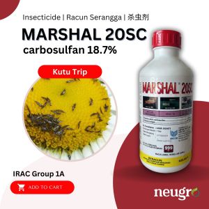 Ancom Marshal 20SC (1L) Racun Serangga Thrips Kutu Trip Terung Kacang Panjang Carbosulfan 18.7% Control Thrips White Fly Eggplant Long Bean 蓟马杀虫剂