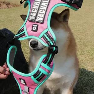 Dog Leash Anti-Escape Large Dog Chest Harness Reflective Medium and Large Dog Leash Outdoor Walking Leash