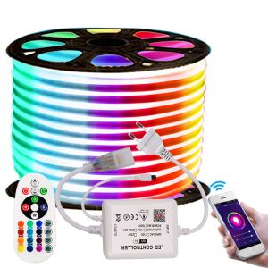 220V RGB LED Neon Strip Light Outdoor Waterproof Neon Rope Light Phone APP Bluetooth Controller Dimmable Music Sycn Included Remote Cove Ceiling Home Decoration 5m/10m/20m/30m/50m/100m set