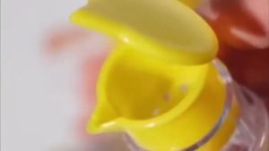 2PCS Hand Press Lemon Juicer Portable Citrus Squeezer With Filter Plastic Fruit Juicer Tool lemon squeezer