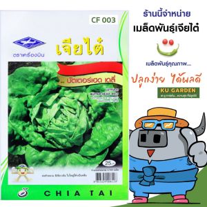 CHIATAI 🇹🇭 ผักซอง เจียไต๋ บัตเตอร์เฮดเดลี่ F1 F003 จำนวนประมาณ 3700  เมล็ด สลัด เมล็ดพันธุ์ผัก เมล็ดผัก เมล็ดพืช ผักสวนครัว