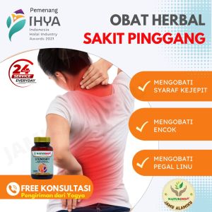 Obat Sakit Pinggang Obat Sakit Pinggang Paling Ampuh Obat syaraf Kejepit Obat Nyeri Pinggang Obat Pegal Seluruh Badan Nyeri Otot Nyeri Sendi Ampuh Stenosifit Naturindo