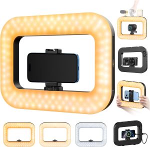 Cell Phone Light for Video Recording Handheld Phone Stabilizer with Light 8000mAh LED Selfie Phones Ring Light with Phones Holder Smartphone Video Rig for Camera Action Camera Vlog TikTok