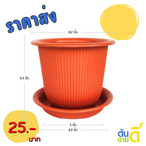 กระถาง กระถางต้นไม้ มินิมอล ฮีโร่ + จาน ขนาด 6 นิ้ว สีดำ สีขาว สีเทา สีอิฐ Bundle 5 ใบ ชิ้น อัน