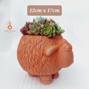 Chậu đất nung Bình Dương - Cừu Mập Heo miệng chậu 12cm chiều cao 17cm