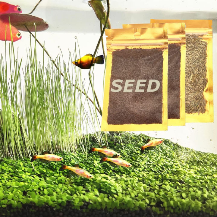Aquarium Plant Seeds For Fish Tanks - Easy Foreground Carpeting Aquatic  Grass