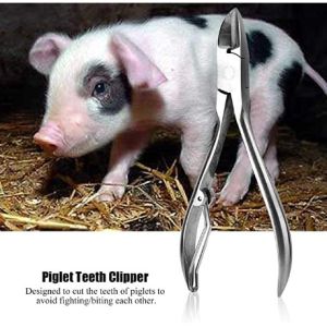 Viddavet  Stainless Steel  pamputol o pambawas sa ngipin ng piglets stainless piglet teeth cutter piglet teeth cutter