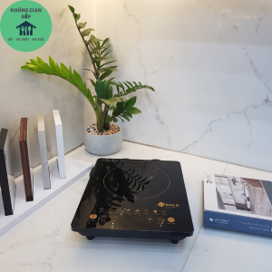 [Sale Kịch Sàn] Bếp Từ Đơn Arber AB-301