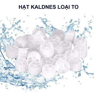 Hạt Kaldnes 100Gr SIZE TO lọc nước  tạo oxy cho bể cá thủy sinh hồ cá Koi( Trắng)