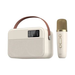 Portable Wireless Microphone Karaoke Machine Bluetooth PA Speaker KTV DSP System HIFI Stereo Sound