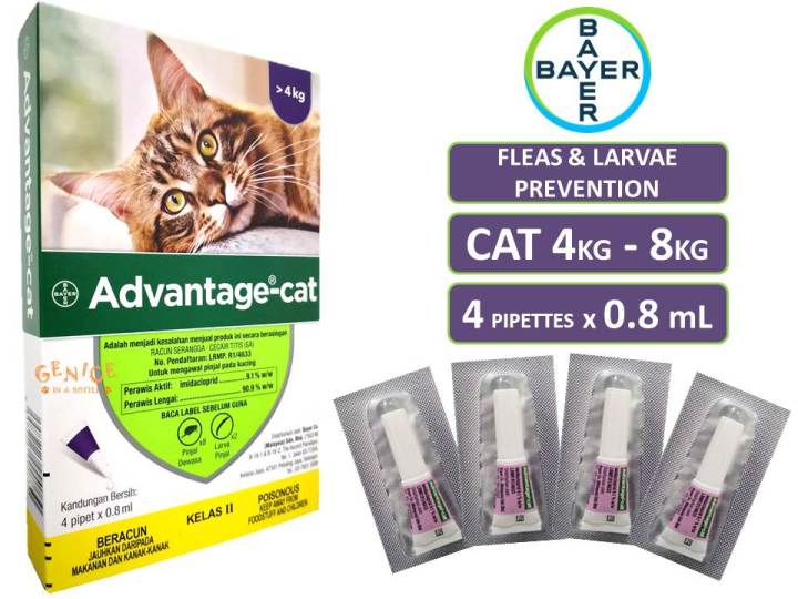 Bayer advantage best sale for cats