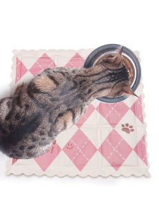 Dog Pet Mat Summer Ice Cooler Dog Cat Litter Cooler Cooling Ice Nest Pet Ice Mat Summer Comfort Mat