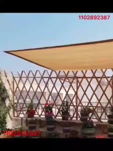 ตาข่ายบังแดด 12 ขา ป้องกันรังสีอัลตราไวโอเลต ตาข่ายคลุมต้นไม้สำหรับสวนกลางแจ้ง ลาน สระว่ายน้ำ ระเบียง