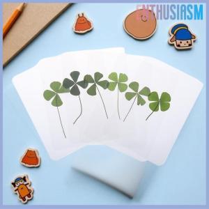 【Enthusiasm】🌟🌟【Hot Sale】🎈 1 5 10Pcs Lucky Clover Postcards Natural Grass Transparent Wishing Cards For Bookmarks