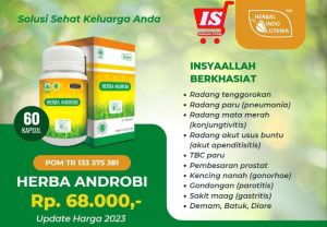 HERBA ANDROBI-Mengatasi virus-antibiotik alami-radang tenggorokan-paru-usus buntu-TBC-diare-demam