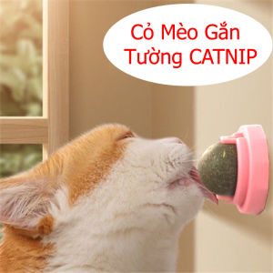 COMBO 2 CATNIP - Viên Cỏ Mèo Gắn Tường Giảm Stress - Hỗ Trợ Tiêu Hóa - Tiêu Búi Lông
