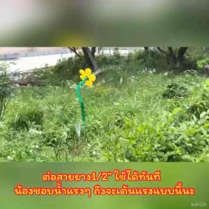 รดน้ำต้นไม้ Sprinkler - สปิงเกอร์ดอกไม้ 4หุน 1/2" ระบำ เต้นแรงมาก สายยาง4หุน