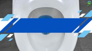 LỌ THẢ BỒN CẦU NHẬT BẢN AAB 180G