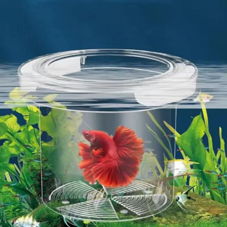 clear floating box for fish tank Aquarium Breeding Box, Acrylic Double Layer Fishes Isolation Box/Baby Fishs Hatchery/Fry Breeder Guppy,Tropical Fishes, Fish Incubator Divider with Suction Cups, L size : Pet Supplies On rimless aquariums Flying-aquarium-oval "basic" 1200 Foggy Gray