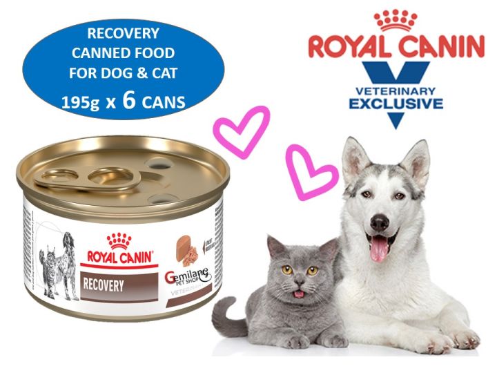 Recovery Can Wet Food for Cat And Dog 195 g x 6 cans Royal