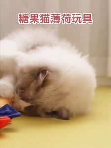 AP AIMAYAPET Catnip Cat Toy Candy Pillow Bite Resistant Interactive Plush Teething Chew Grinding Kucing Mainan