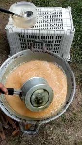 น้ำตาลดอกมะพร้าวแท้100 น้ำตาลดอกมะพร้าว น้ำตาลดอกมะพร้าวออแกนิค