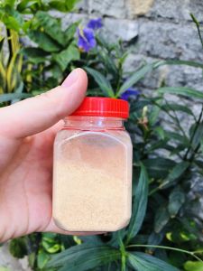 100G MUỐI NHUYỄN ( VỊ NGỌT- ÍT CAY)