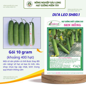 GÓI 10G (350 HẠT) - HẠT GIỐNG DƯA LEO SH 80.1 SEN HỒNG - GIỐNG MỚI NĂNG SUẤT VƯỢT TRỘI