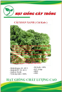Hạt giống rau cải xoăn xanh - cải kale xanh CT5573 - 1 gói 20 hạt