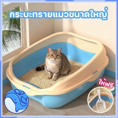 กระบะทรายแมวขอบสูง พร้อมที่ตักทราย ห้องน้ำแมว ห้องน้ำแมว พ