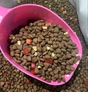 Hạt caption cho chó túi mix 500g 1000g dinh dưỡng phù hợp mọi cân nặng