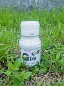 Pupuk Agroben G14 Nutrisi Pembesaran Buah & Daun Untuk Komoditi Pupuk Organik Cair Penyubur Tanaman