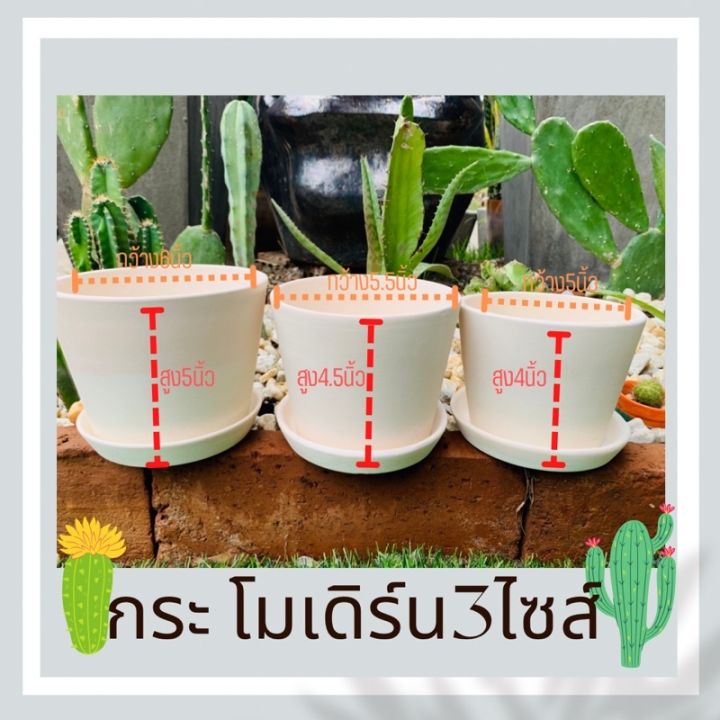 กระถางดินเผาทรง V-shape โมเดิร์น พร้อมจานรอง