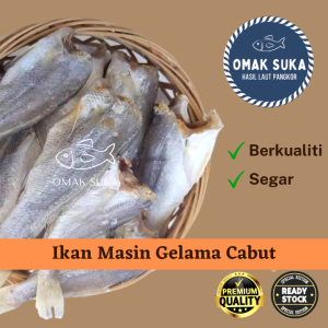 Ikan Masin Gelama Cabut Pangkor Gred 5A (200g) Ikan Masin Gelamah Cabut Pulau Pangkor - Lazada