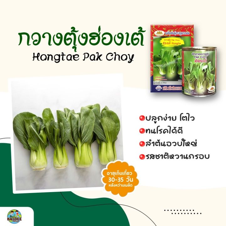 เมล็ดกวางตุ้งฮ่องเต้ ตราภูเขาทอง Hongtae Pak Choy คุณภาพสูง