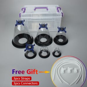 หน้ากากสัตวแพทย์ รูปสัตว์ สุนัข แมว