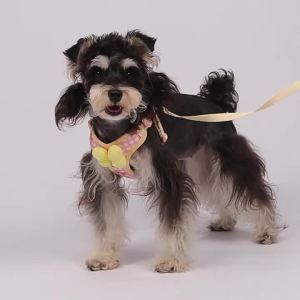 Pet Harness and Leash Bow Detail Popularleash with bow tie plaid Korean-style dog harness and leash specifically for small adjustable pet harness walking leash set for Cats Dogs and Pet Owners