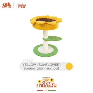 HostTail คอนโดแมว รุ่น อโวคาโด และ รุ่น ทานตะวัน