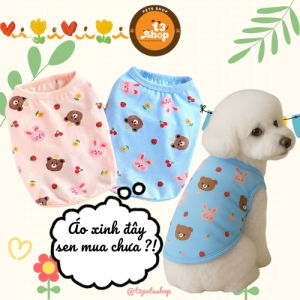áo thun gấu nâu thỏ hồng cho chó mèo - T3 PETS SHOP