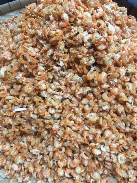 500g%20t%C3%B4m%20mini%20h%C3%B2n%20s%C6%A1n%20ki%C3%AAn%20giang%20-%20Image%203